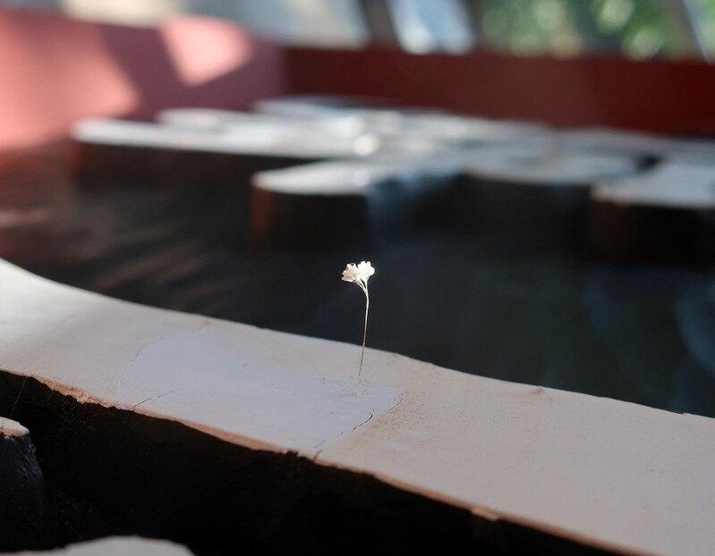 산청 용연정 현판에 3천년 세월 품은 '우담바라' 활짝