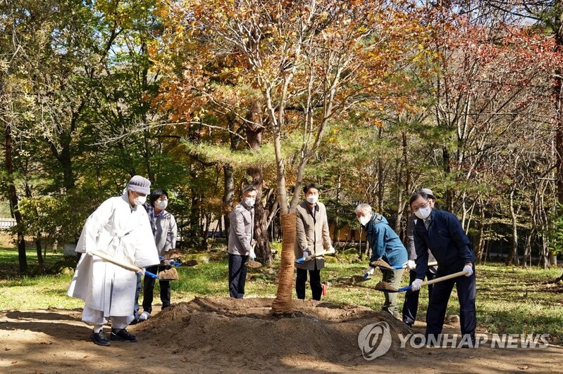만해 '님의 침묵' 속 단풍나무 숲 백담사에 조성한다
