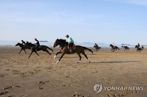 익산시, 승마 스포츠관광 대표 도시 도약 꿈꾼다