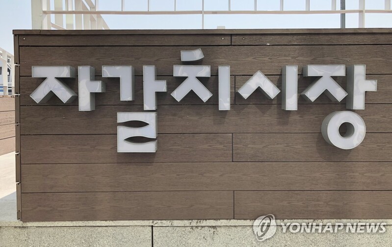 청년의 시각으로 자갈치시장 재발견…탐색지도 제작