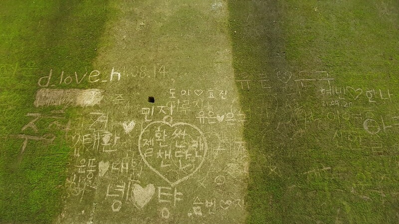 "복원되려면 2년 넘게 걸리는데"…낙서판 된 단양 이끼터널