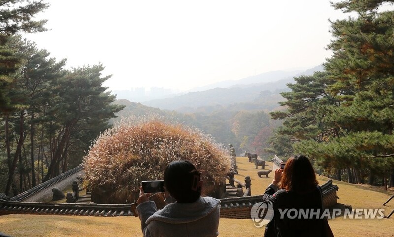 가을빛 내려앉은 조선왕릉…억새 능침 오르고 사진전 볼까