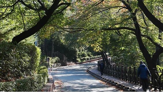 '산을 갤러리로'…인천 수봉산서 한달간 전시·공연