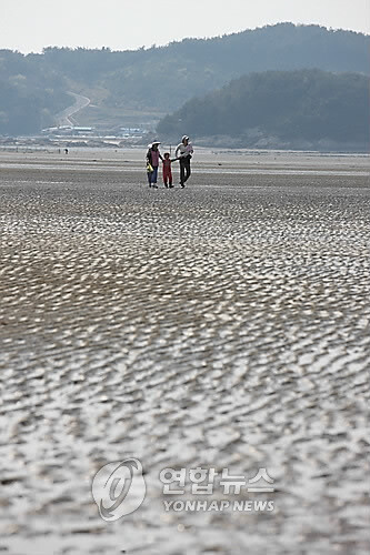 서천군, 세계자연유산 '서천 갯벌' 관광 활성화한다