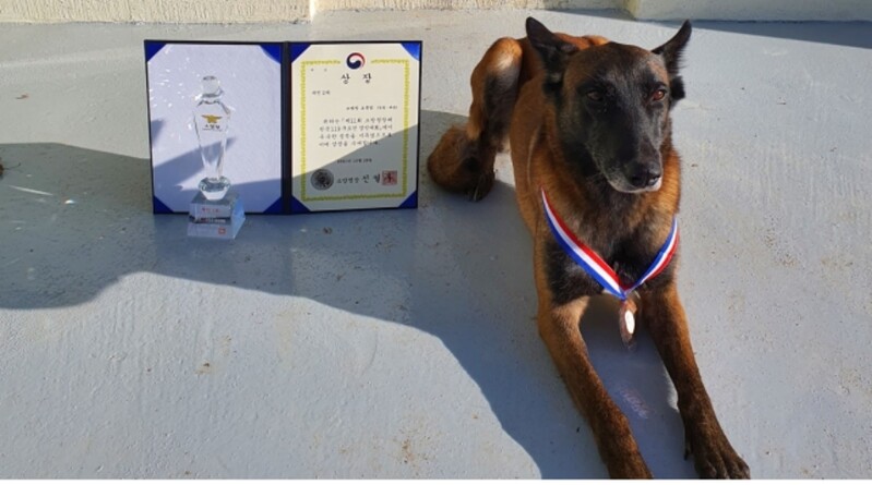 140회 출동 119 구조견 '태공' 전국 대회서 2등