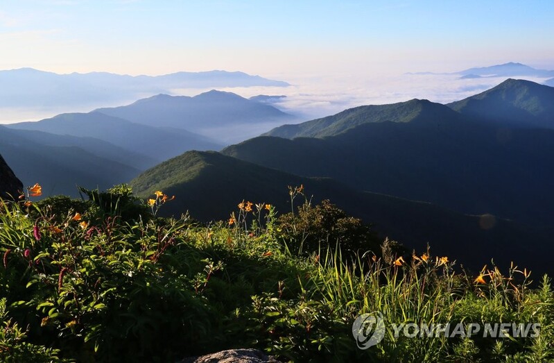 구례군, 지리산 케이블카 사업 9년 만에 단독 재추진