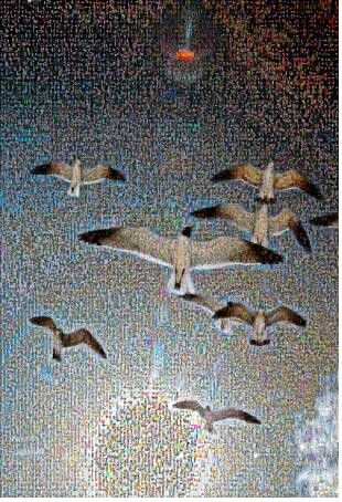 [게시판] 오승환, 사진 1만장으로 만든 NFT 작품 공개