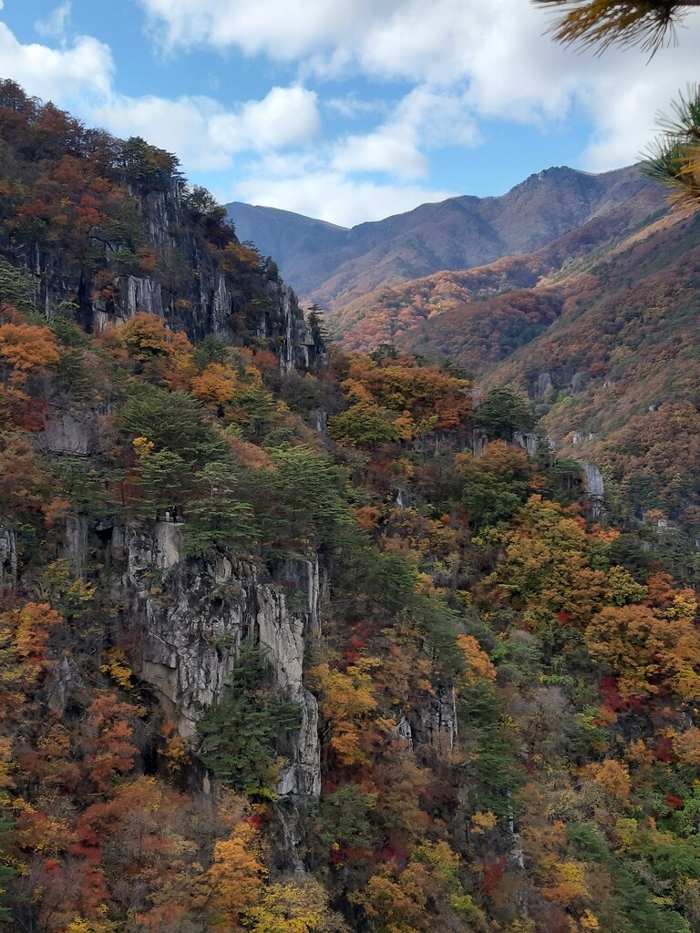 "동해가 핫해졌다"…볼거리 풍성해진 관광지 '주목'