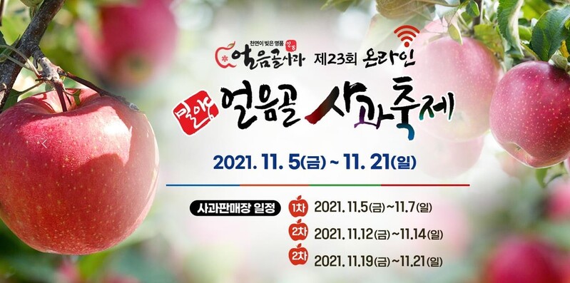 "겉은 빨갛고 속은 꿀이 가득"…밀양 얼음골 사과축제 개막