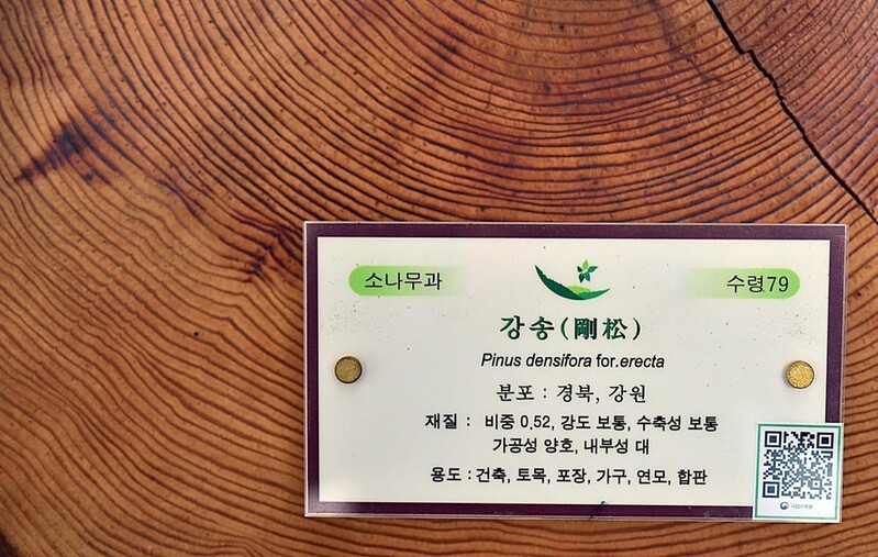 국립수목원 "QR코드로 산림박물관 즐기세요"