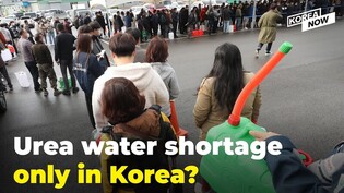 Why is there a shortage of urea water only in Korea?