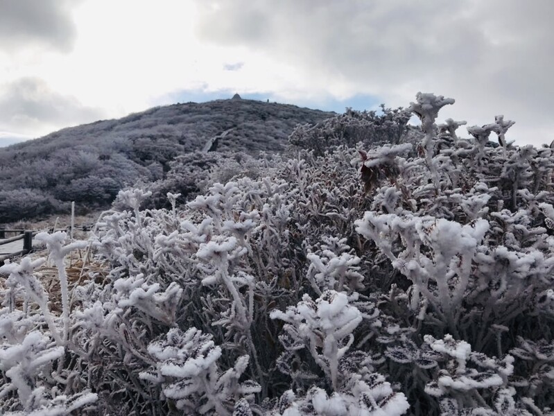 지리산 노고단에 올해 첫 상고대 피었다