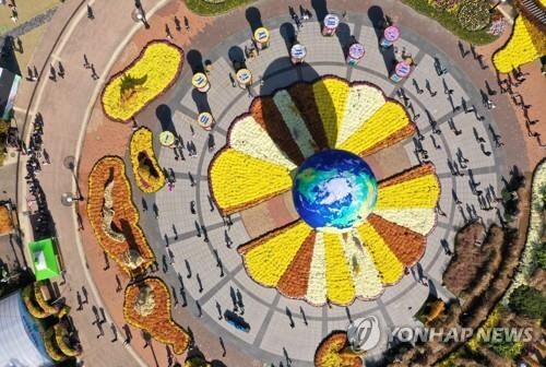 '제때 놓친' 함평국향대전 궂은 날씨에 시들시들 우려