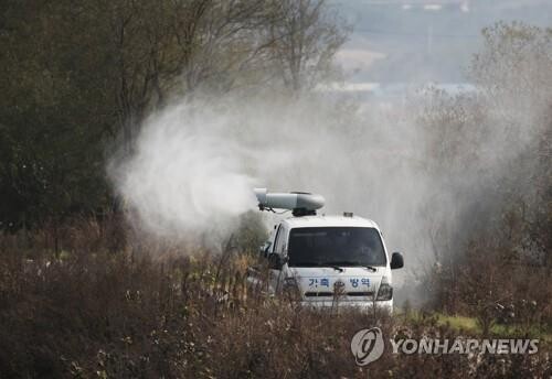 S. Korea investigating suspected cases of highly pathogenic bird flu