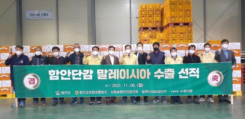 [함안소식] 단감 5t 말레이시아 수출…내년까지 80t 목표