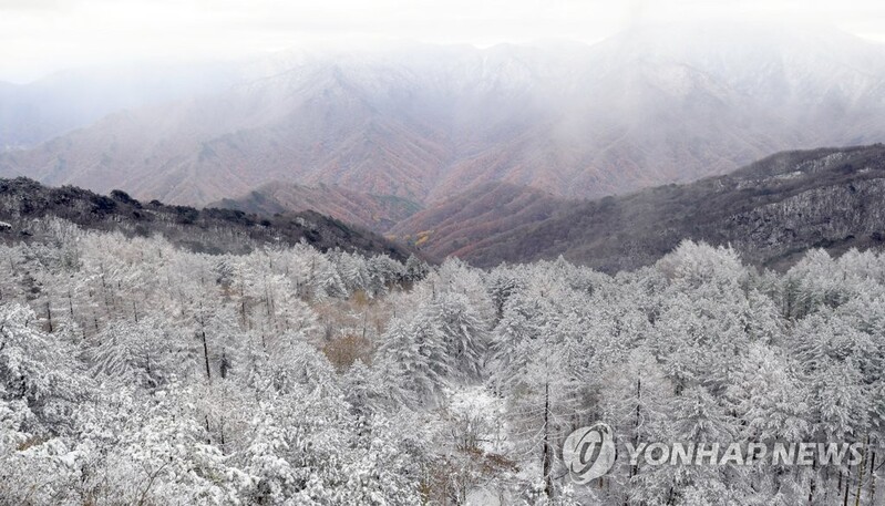[픽! 남원] '한 폭의 수채화'…눈 쌓인 지리산 정령치