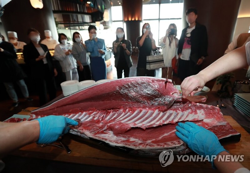 [알쏭달쏭 바다세상Ⅲ](41) 기름진 참치에 고추냉이 잔뜩 "입 안에서 사르르"