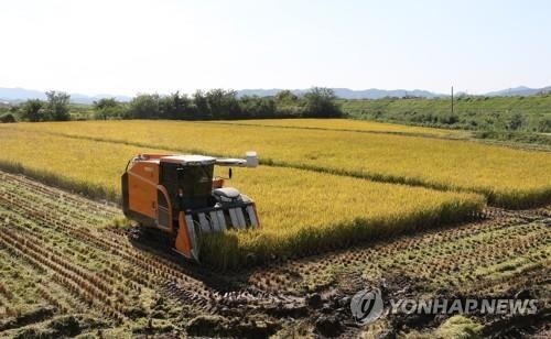 S. Korea's 2021 rice output rises for first time in 6 years
