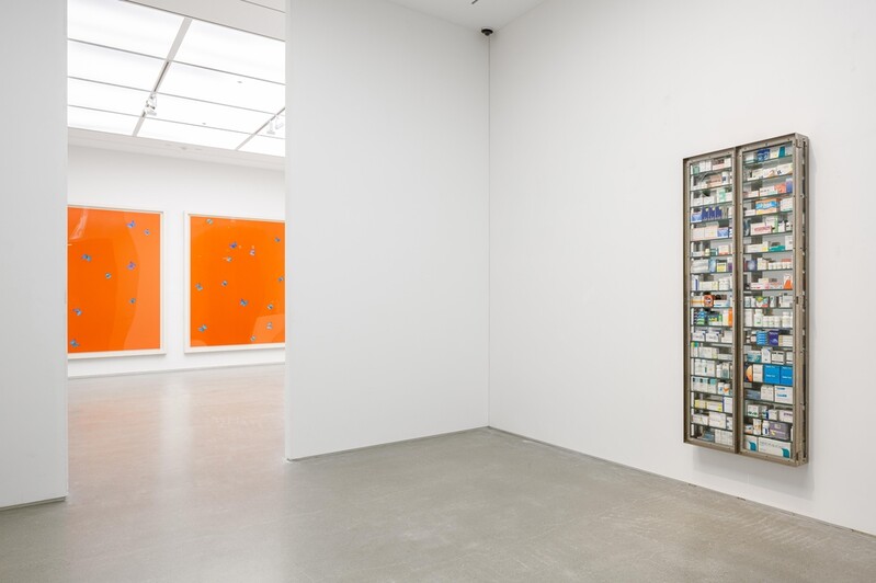 [미술소식] 데미안 허스트 더페이지갤러리 개인전