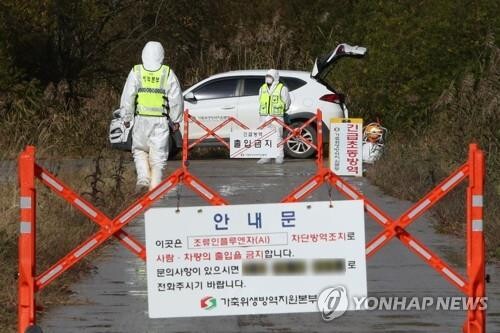 S. Korea adds one more case of highly pathogenic bird flu at local farm