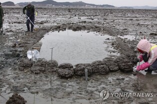 Two shipwrecks from Goryeo Dynasty discovered from tidal flat in Jebudo