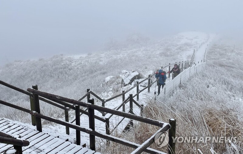[픽! 남원] '설국 속으로'…지리산 바래봉에 핀 눈꽃