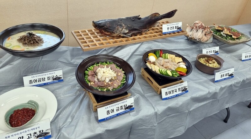부여군, 수라상 오른 '종어' 활용 음식 14종 개발…상품화 추진