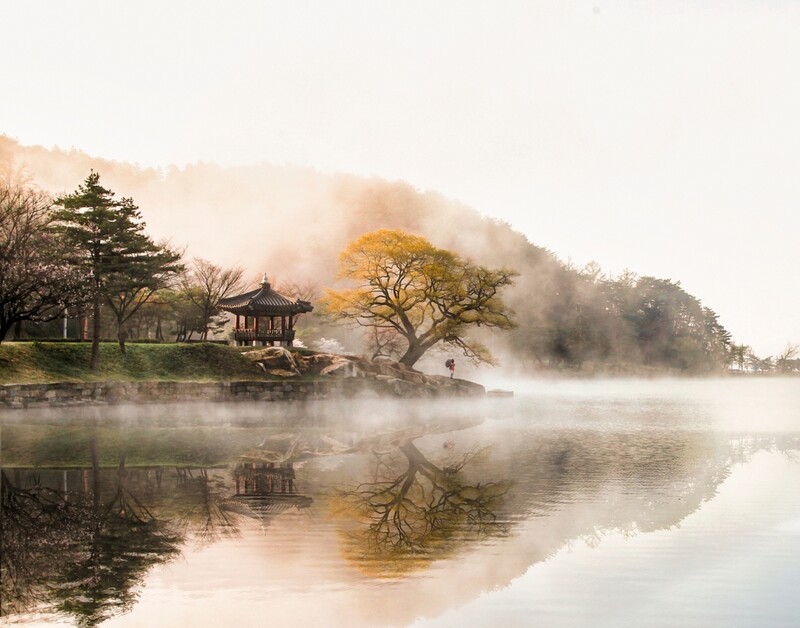 제천 관광사진 공모전 대상에 '의림지의 봄'