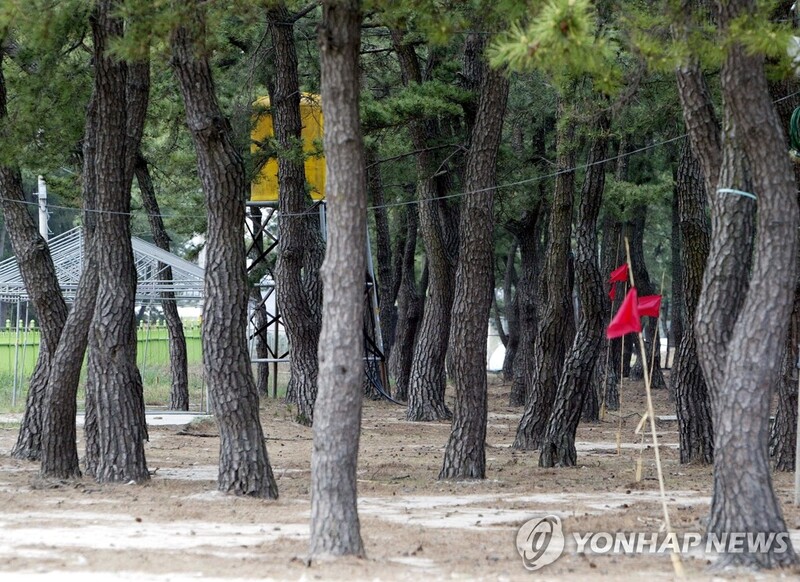 강릉 해안변 8㎞ 송림 공원화…"힐링 공간으로 조성"