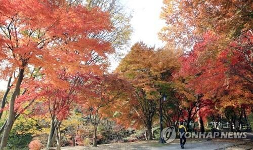 남원시, 왕정공원에 산림욕장·숲속 야영장 내년까지 조성