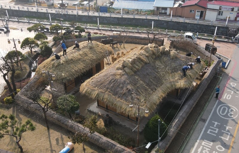 [픽! 옥천] 초가의 겨울채비…정지용 생가 이엉 교체