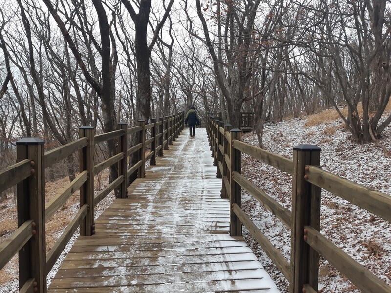 평창군, 육백마지기 전경 조망 '청옥산 무장애 나눔 길' 조성
