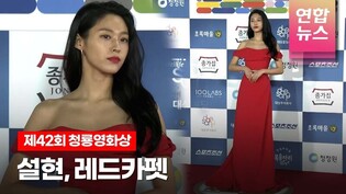 '오랜만의 공식석상' 설현 AOA Seol Hyun, 청룡영화상 레드카펫 (42th Blue Dragon Awards Red Carpet) /연합뉴스통통컬처
