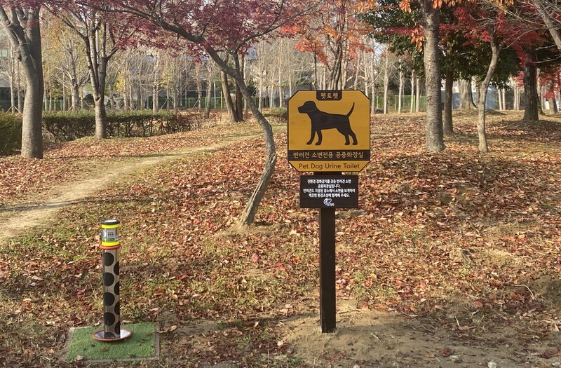 '산책 중 배변 문제 해결' 진주시 반려견 공중화장실 5곳 설치