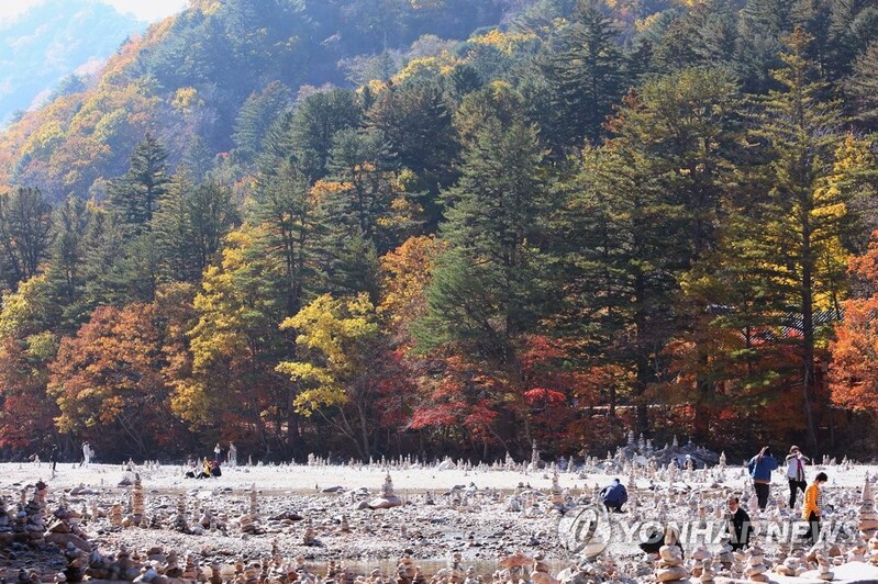 10월 강원관광 '픽'은 단연 '단풍'…개별관광 대세·체류형 선호