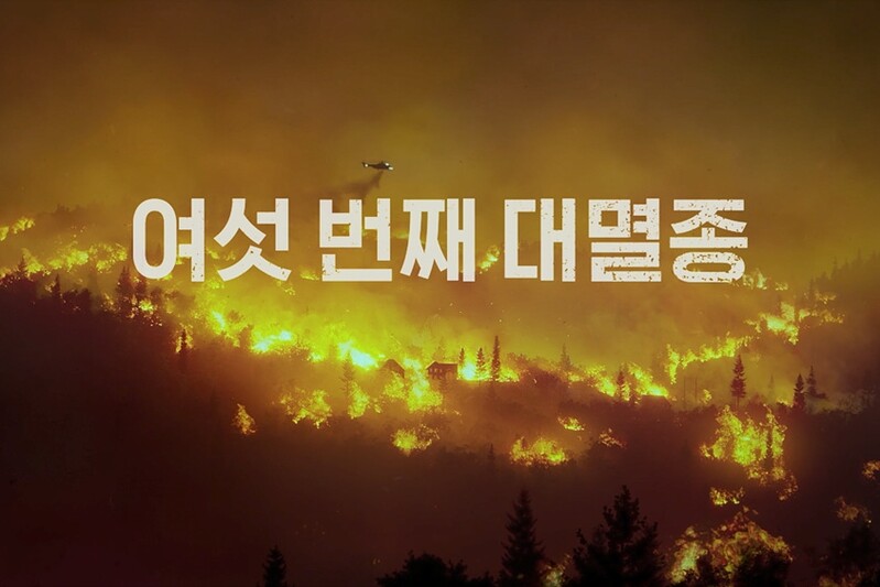 지구가 경고하는 인류의 미래…다큐프라임 '여섯 번째 대멸종'