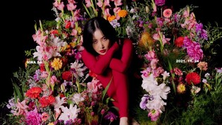 Hwasa enters Billboard's World Digital Song Sales chart with 'I'm a B' and 'Bless U'