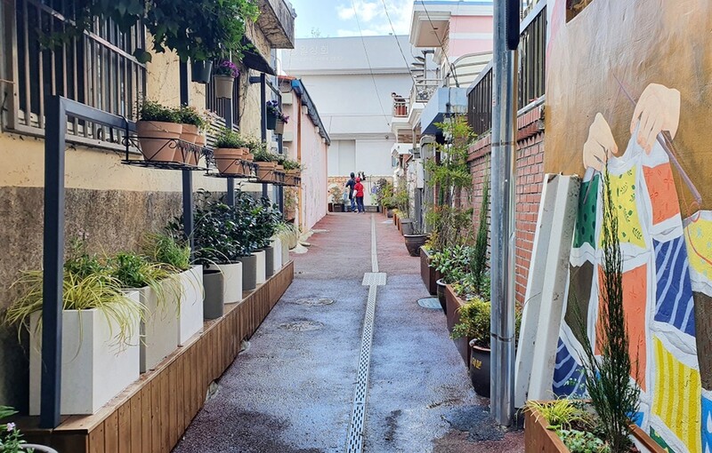 울산 원도심 골목정원 화분 상습 도난 '골머리'