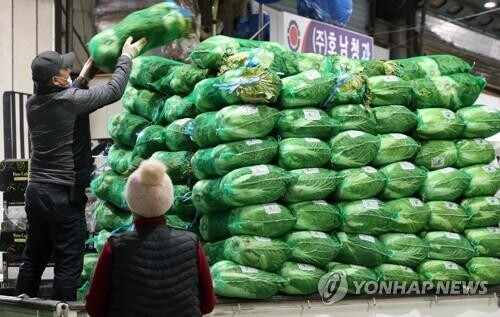 배춧값 급등에 4인가족 김장비용 33만1천356원…작년보다 8.5%↑