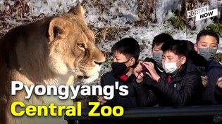 A day at North Korea’s Central Zoo