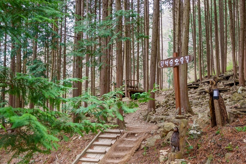 아차산 동행숲길 등 '겨울 비대면 안심관광지' 25곳 선정