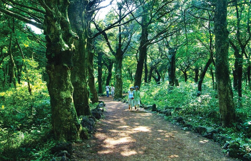 2021년 관광객들이 가장 많이 검색한 제주 관광지는?