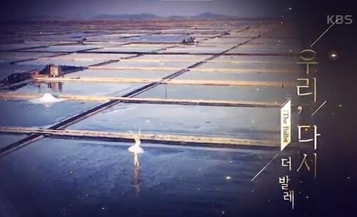 '강수진 국립발레단장 단원 혹사' 진정에…인권위 "증거 없어"