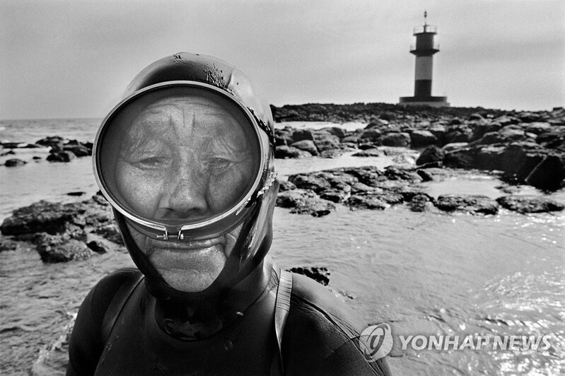[다시! 제주문화] (26)여다(女多)의 섬 제주…슬픈 해녀의 사연