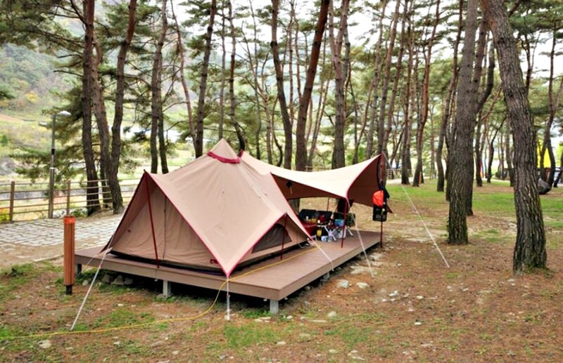정선군, 회동 솔향 캠핑장에 오토캠핑장 추가 조성