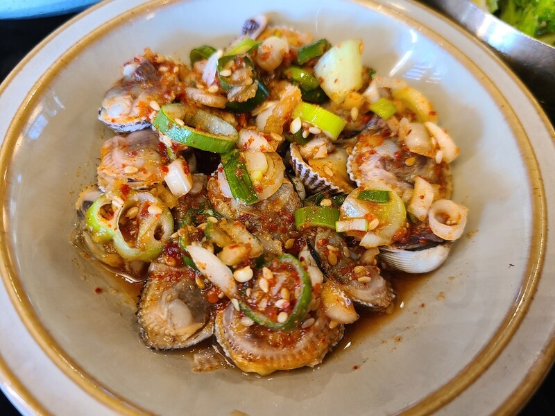 [알쏭달쏭 바다세상Ⅲ](46) 겨울철 향긋한 바다냄새 풍기는 꼬막