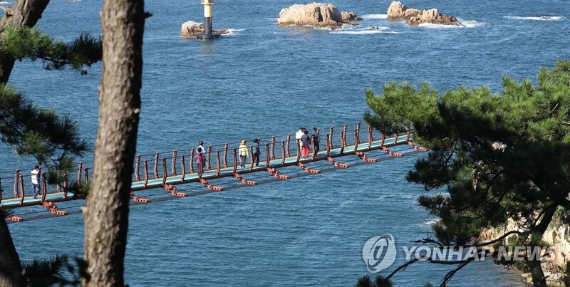 울산 대왕암공원 출렁다리 방문객 100만 명 돌파