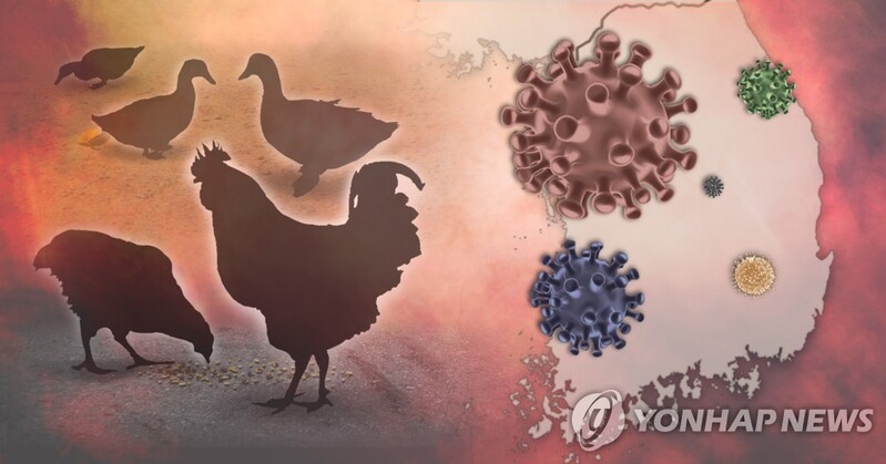 S. Korea reports additional case of highly pathogenic bird flu