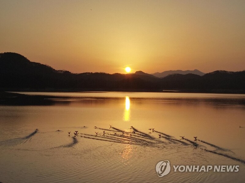 횡성군 '물의 마을 명품화 사업' 추진…섬강 권역 5곳 개발
