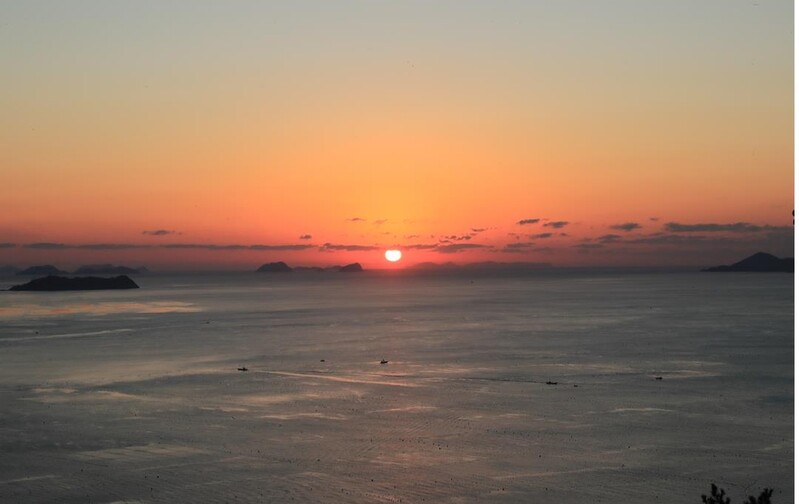 완도군, 해맞이 취소·일출 명소 폐쇄